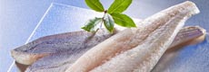 Hake Fillets